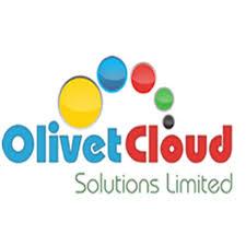 Olivet Cloud Solutions Open Jobs