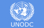 United Nations Office on Drugs and Crime (UNODC) Reviews