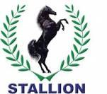 Stallion Group