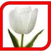 White Tulip Consulting Limited