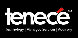 Tenece Professional Services Limited Interview