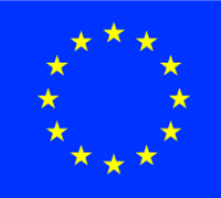 European Union Interview