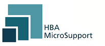 HBA MicroSupport Nigeria Limited Interview