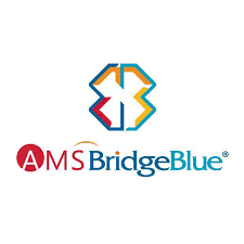 AMS Bridgeblue Nigeria Interview
