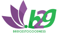 Bridges to Goodness (B2G) Projects Videos