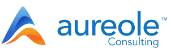 Aureole Consulting Interview