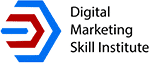Digital Marketing Skill Institute Interview