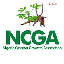 Nigeria Cassava Growers Association Videos