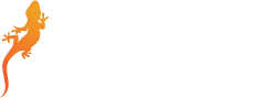 Gecko Five